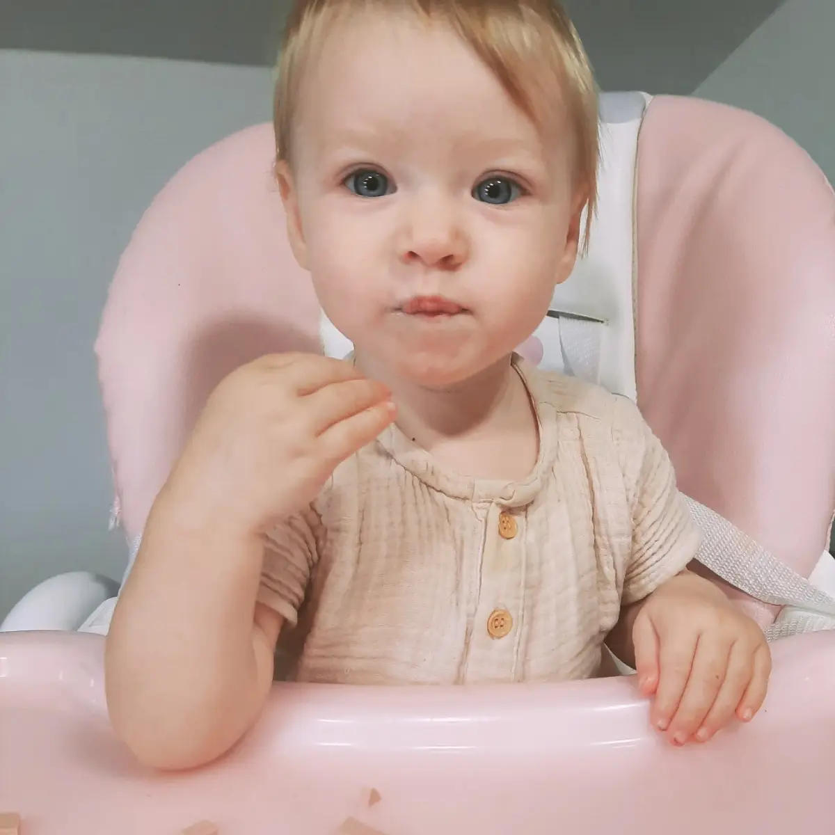 Blog Uvajanje (goste) hrane