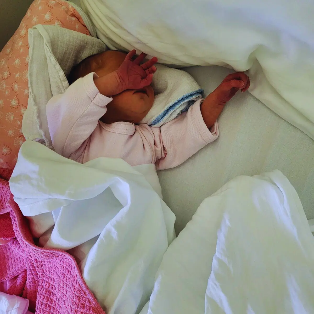 Blog Zlatenica - kaj je to