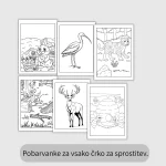 DZ - Čarobni gozd - pobarvanka