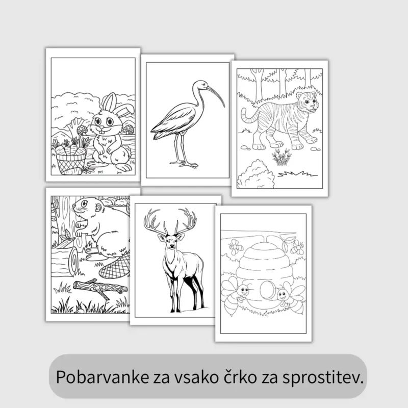 DZ - Čarobni gozd - pobarvanka