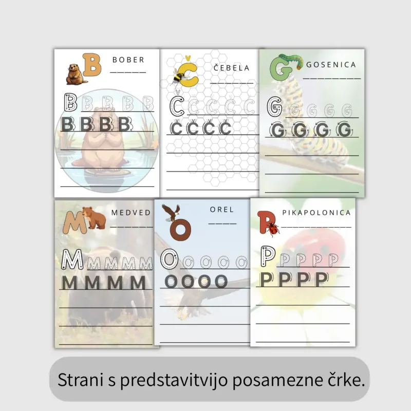 DZ Čarobni gozd - stran s predstavitvijo črke