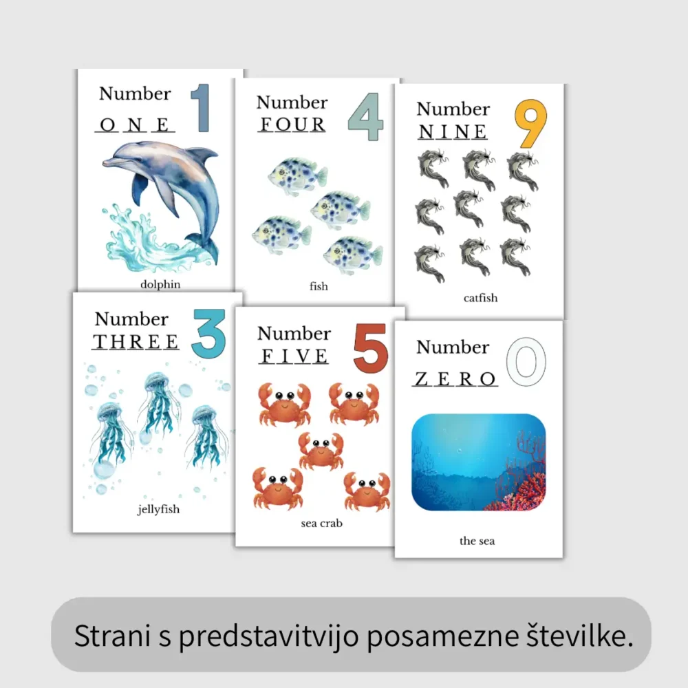 DZ Sea World - stran s predstavitvijo številke