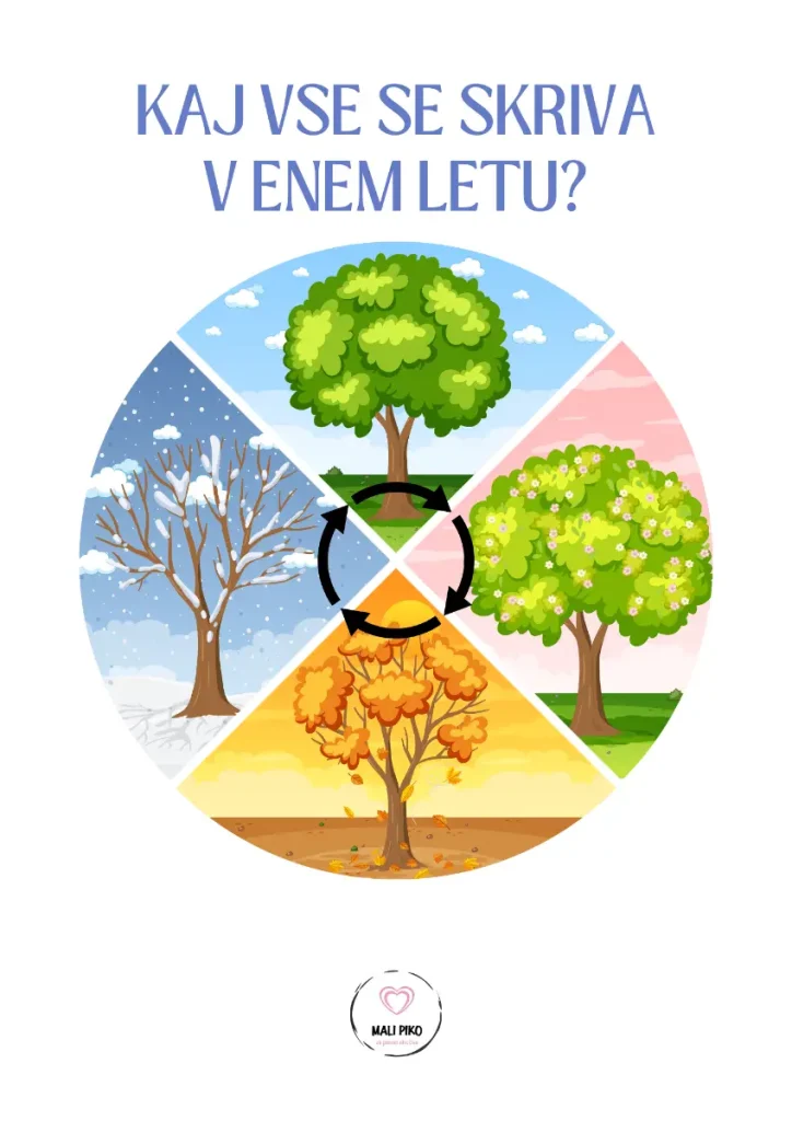 Kaj vse se skriva v enem letu